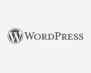 Leia mais sobre o artigo 6 motivos por que trabalhamos com o WordPress na criação de sites